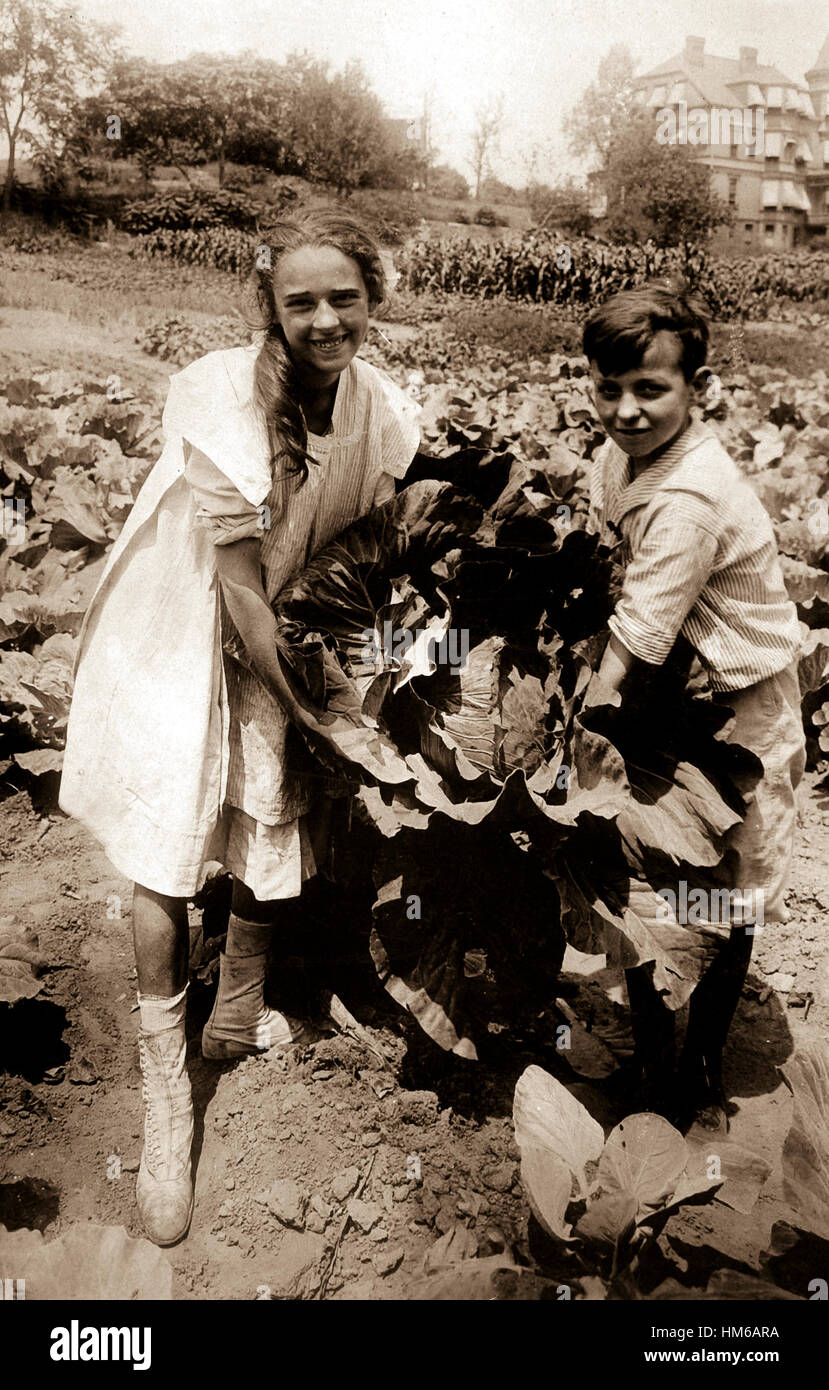 School children holding one of the large heads of cabbage raised in the War garden of P.S. 88, Borough of Queens, N.Y. City.  The garden covers a tract of 1 1/2 acres and yielded over $500 worth of produce.  Ca. 1918.  J.H. Rohrbach.  (War Dept.) Exact Date Shot Unknown NARA FILE #:  165-WW-172-1 WAR & CONFLICT BOOK #:  562 Stock Photo