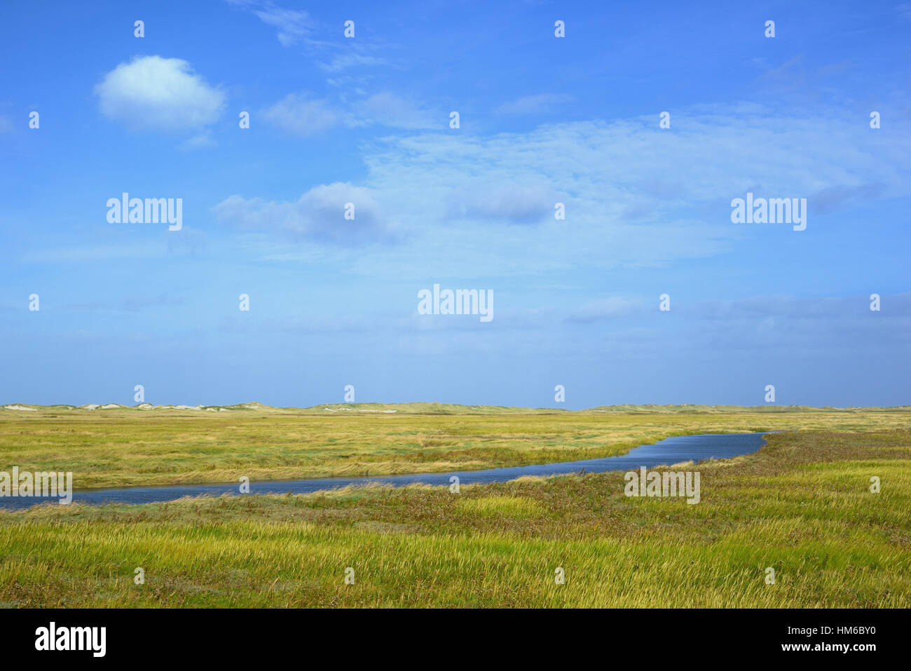 Salt marshes with flooding tide, St. PeterOrding, SchleswigHolstein