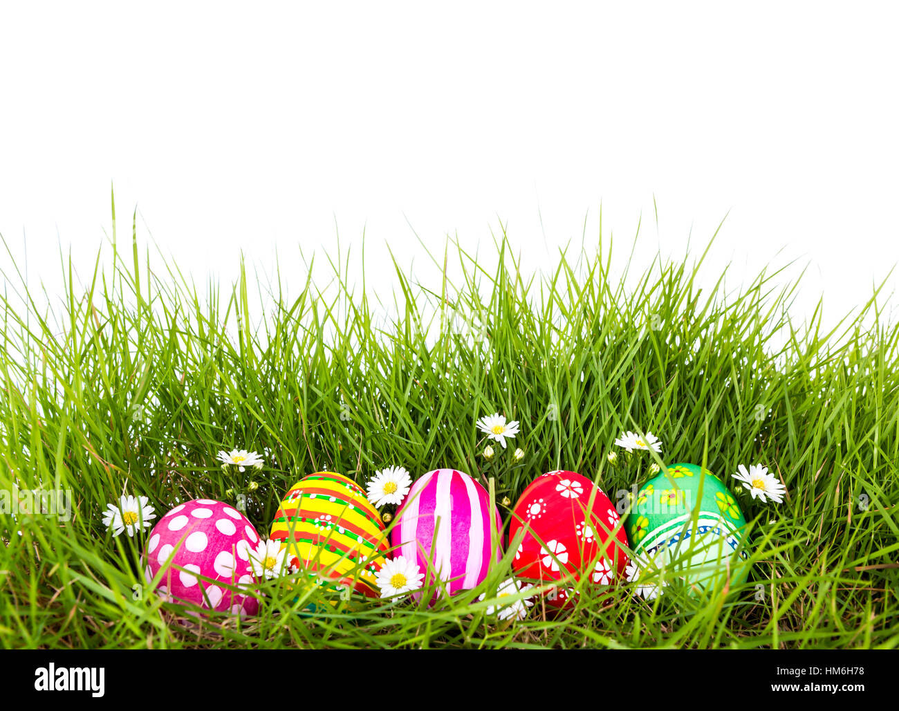 Easter Eggs with flower on Fresh Green Grass over white background ...
