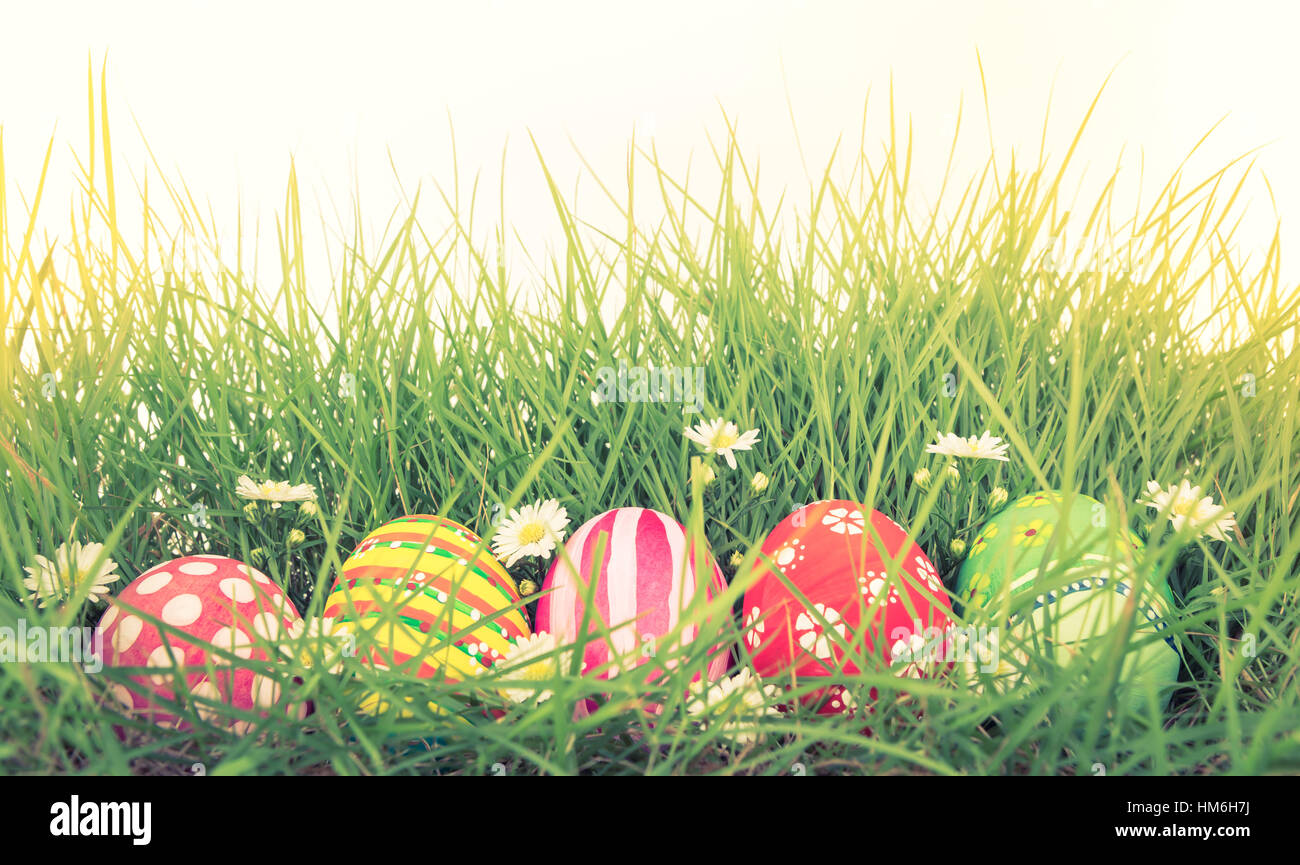 Easter Eggs with flower on Fresh Green Grass ( Filtered image processed ...