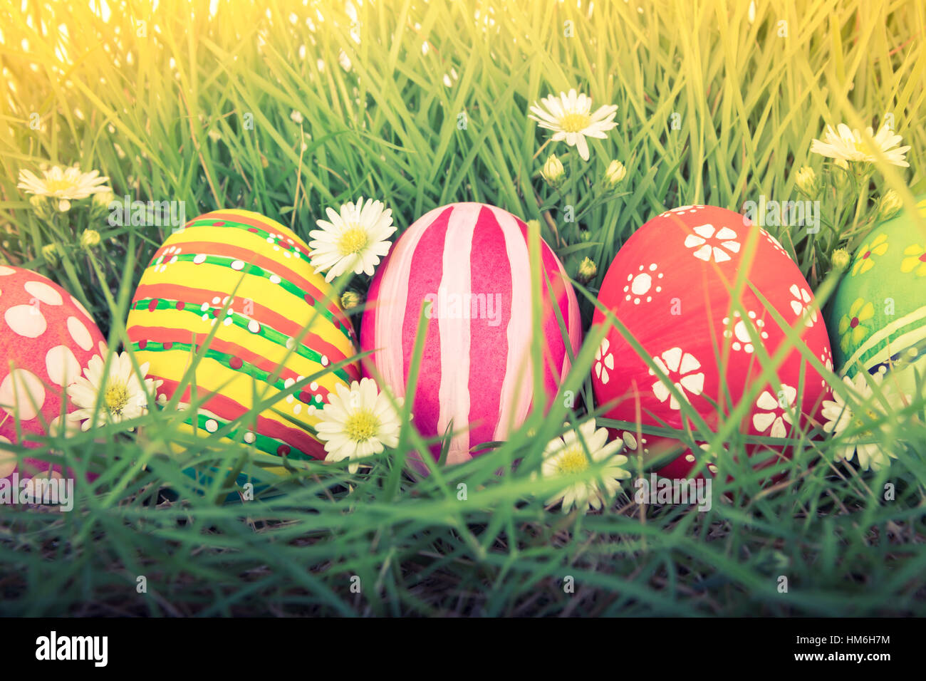 Easter Eggs with flower on Fresh Green Grass ( Filtered image processed ...