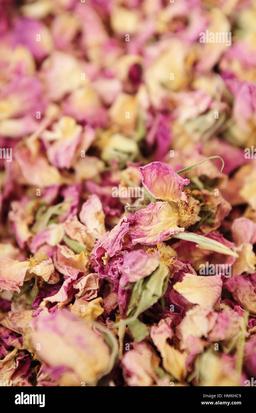 dried rose leaves, close up Stock Photo Alamy