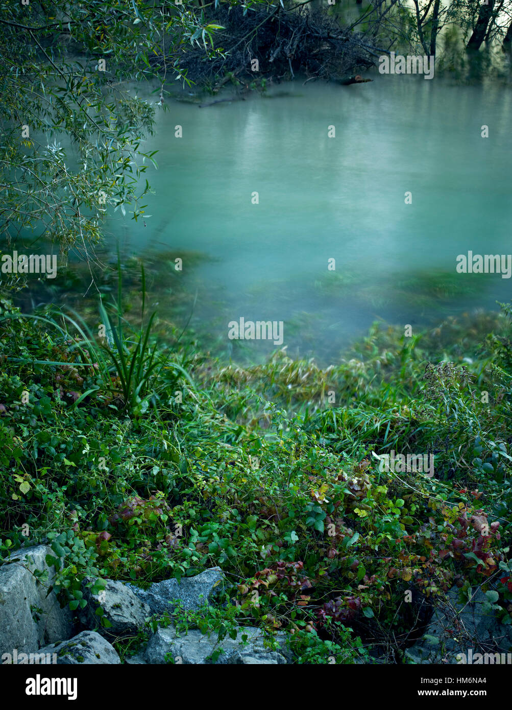 flooded area of the Rhine, water, nature Stock Photo