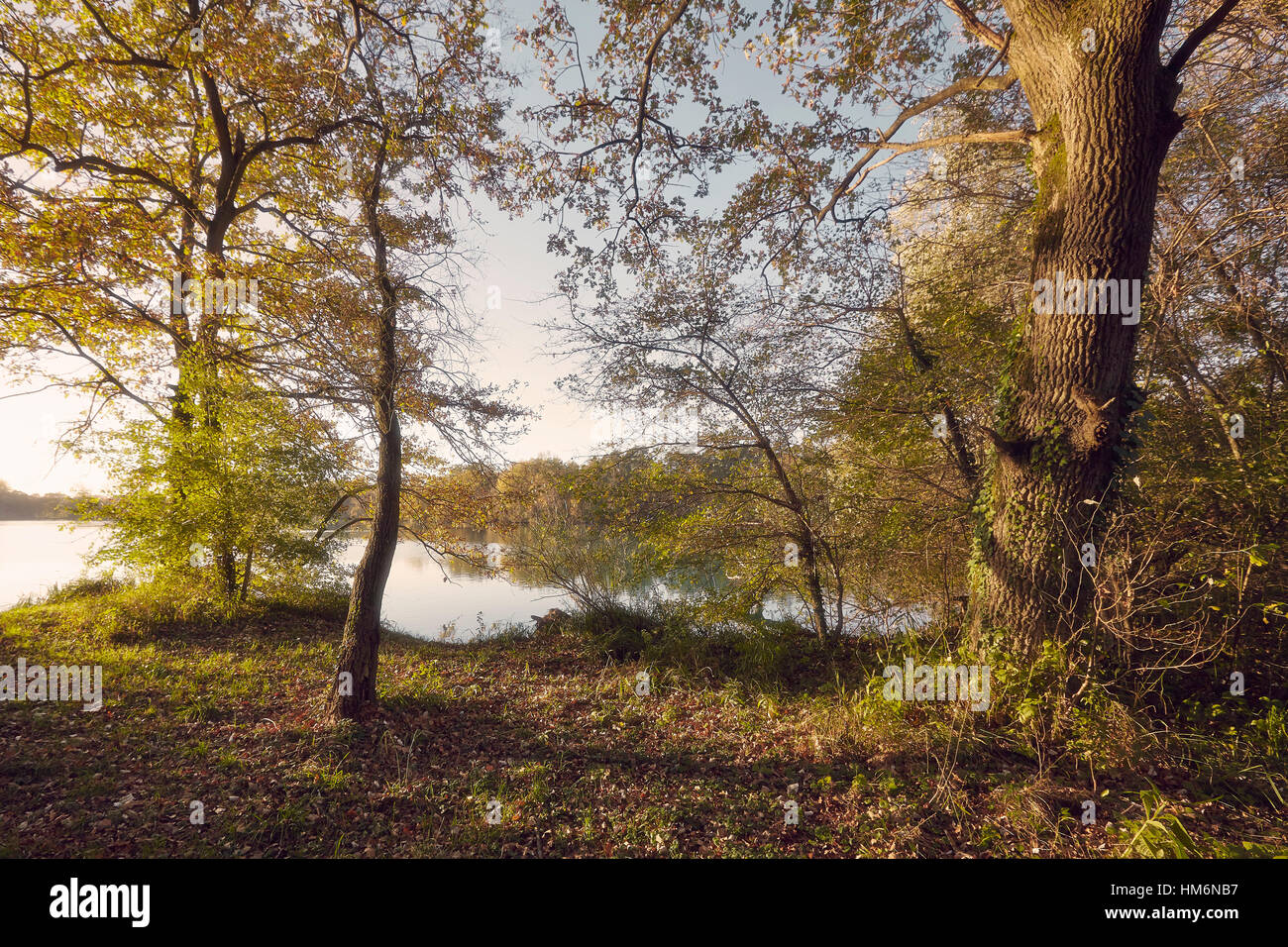 Lakeside in the sun with trees and colored autumn leaves Stock Photo