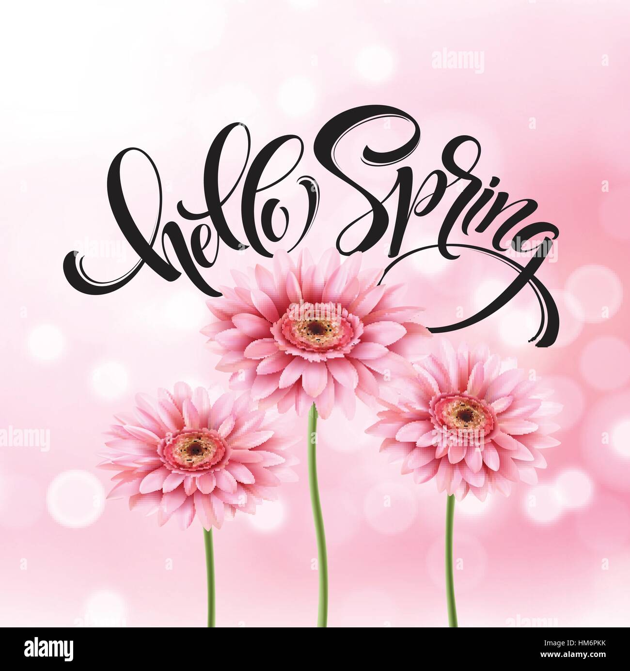 Gerbera Flower Background and Hello Spring Lettering. Vector ...