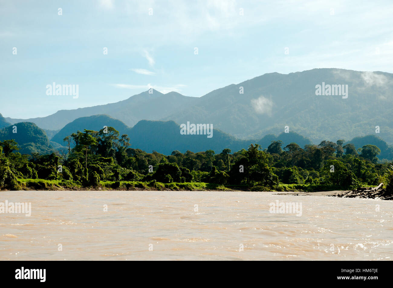 Melinau Paku River - Mulu National Park - Borneo Stock Photo