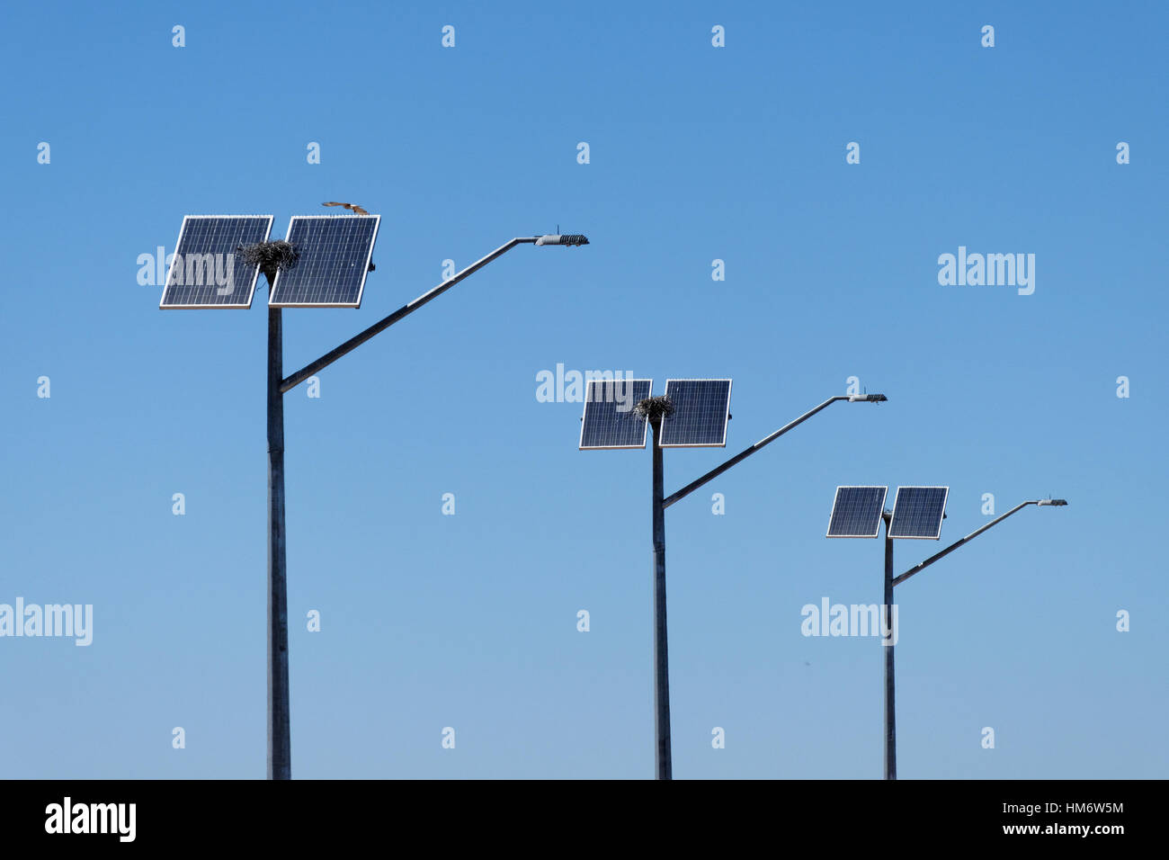 Solar power street lights Stock Photo Alamy