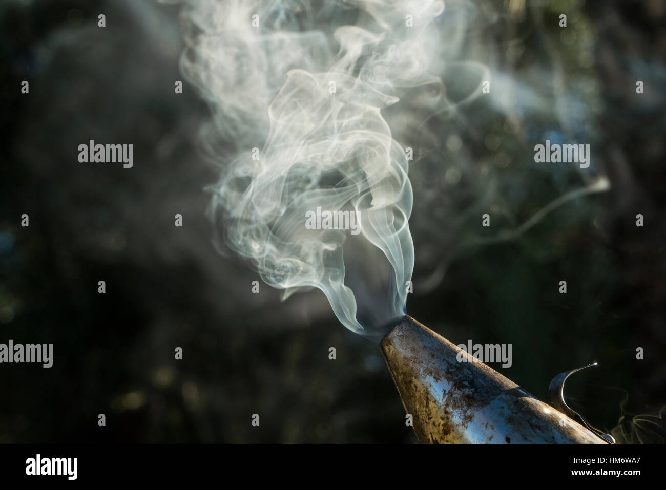Close-up of smoke emitting from bee smoker used in apiculture Stock Photo