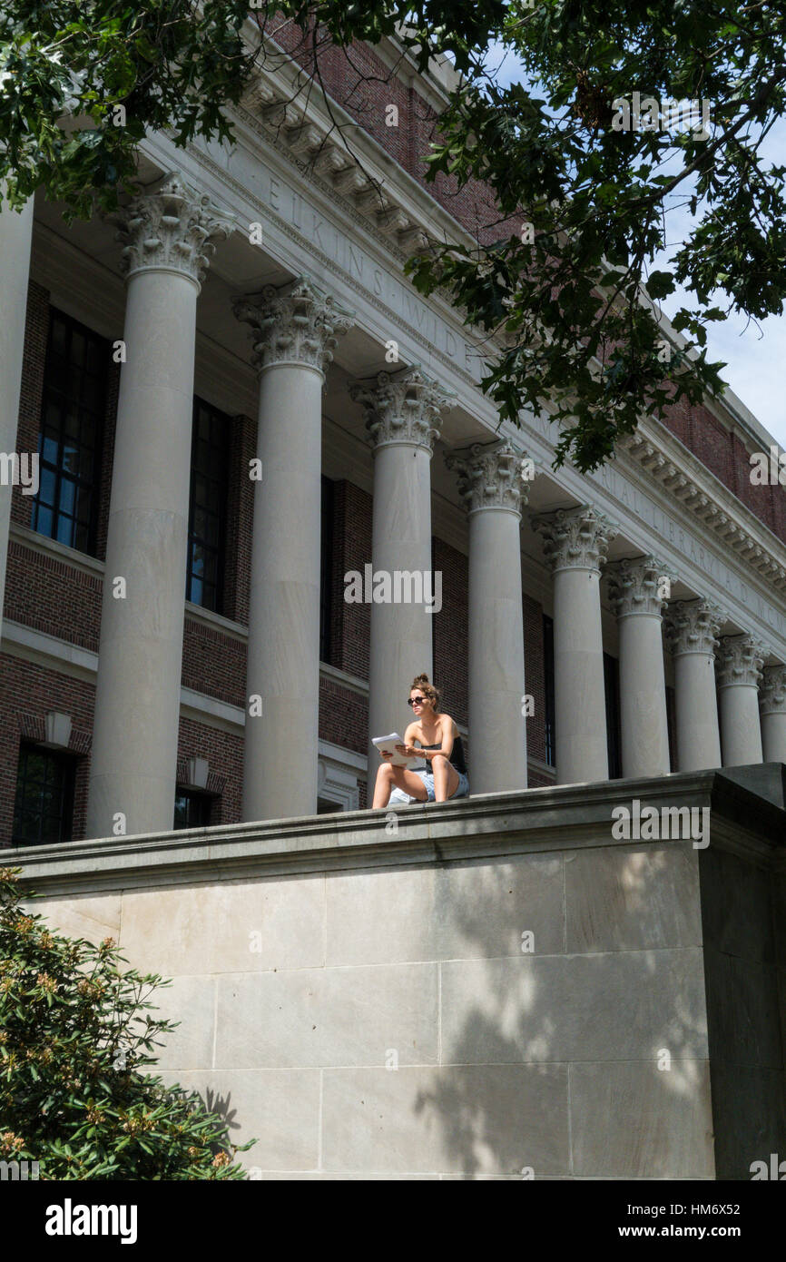A female student sits in the sunshine studying with huge columns of one of the academic buildings at Harvard University looming in the background. Stock Photo