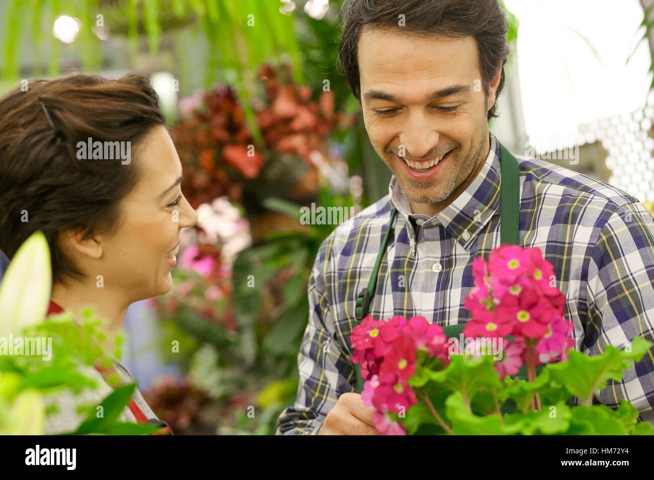 Florists in flower shop Stock Photo Alamy