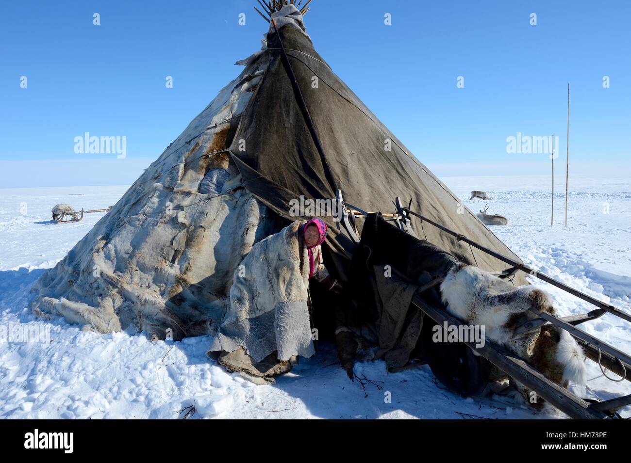 https://c8.alamy.com/comp/HM73PE/a-nenets-woman-at-the-entrance-of-her-reindeer-fur-covered-tent-chum-HM73PE.jpg