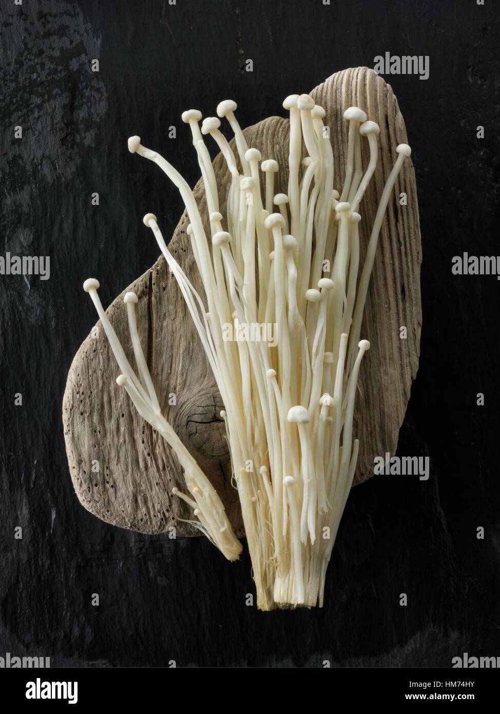 Fresh picked cultivated Enokitake, Enokidake or Enoki (Flammulina