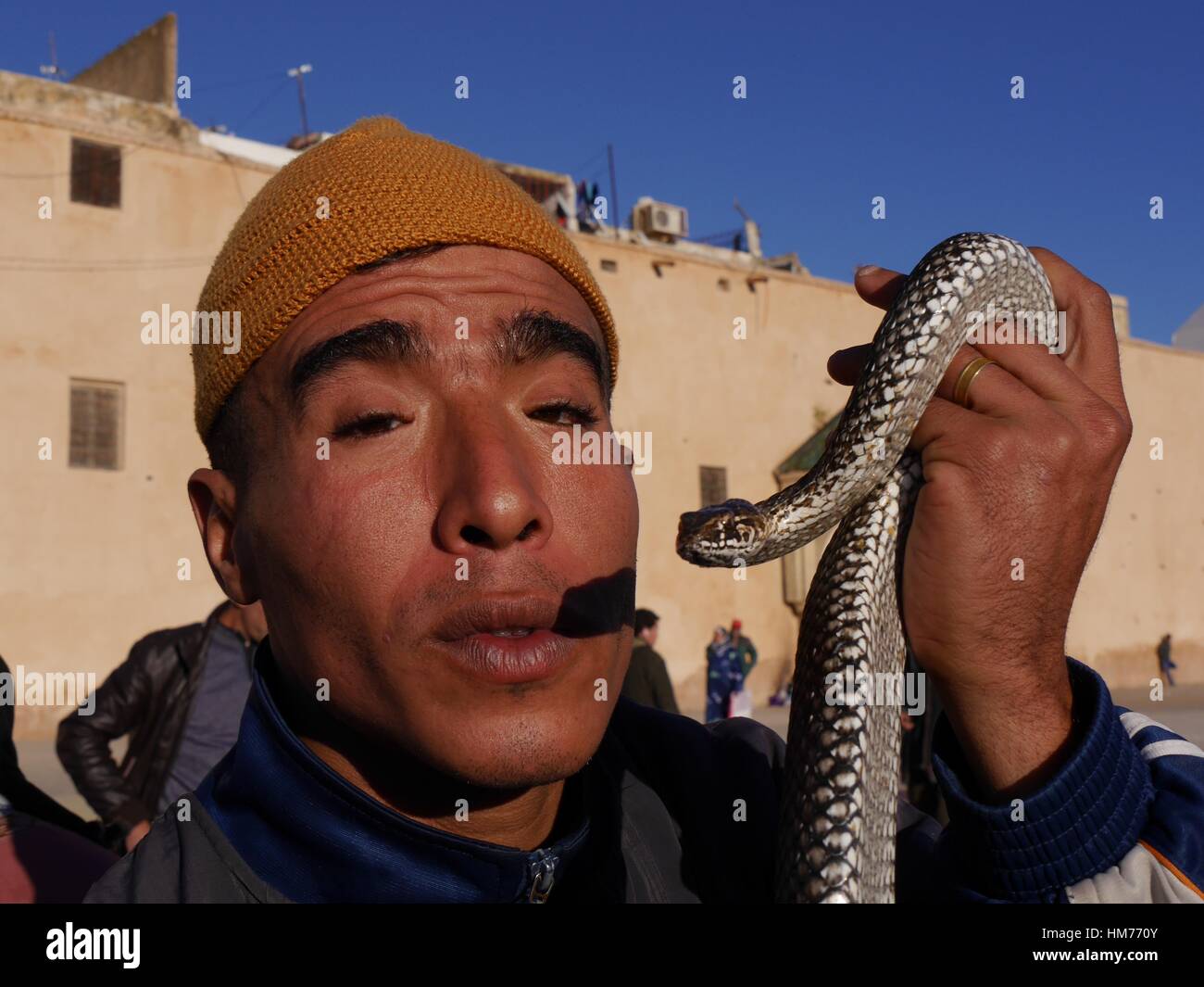 Most dangerous snake in morocco hires stock photography and images Alamy
