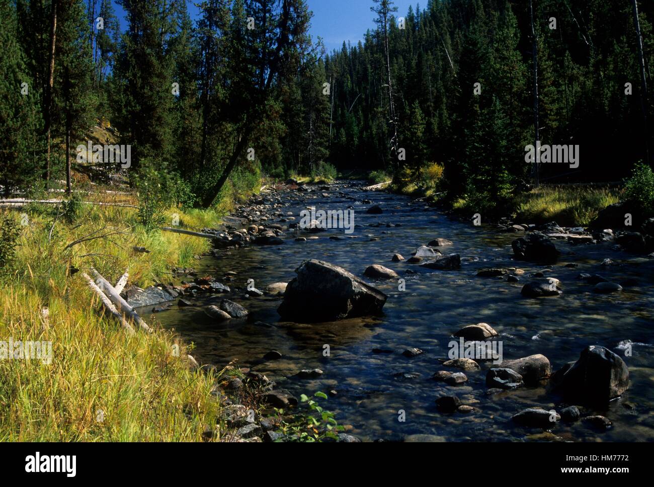 Umatilla forest hires stock photography and images Alamy