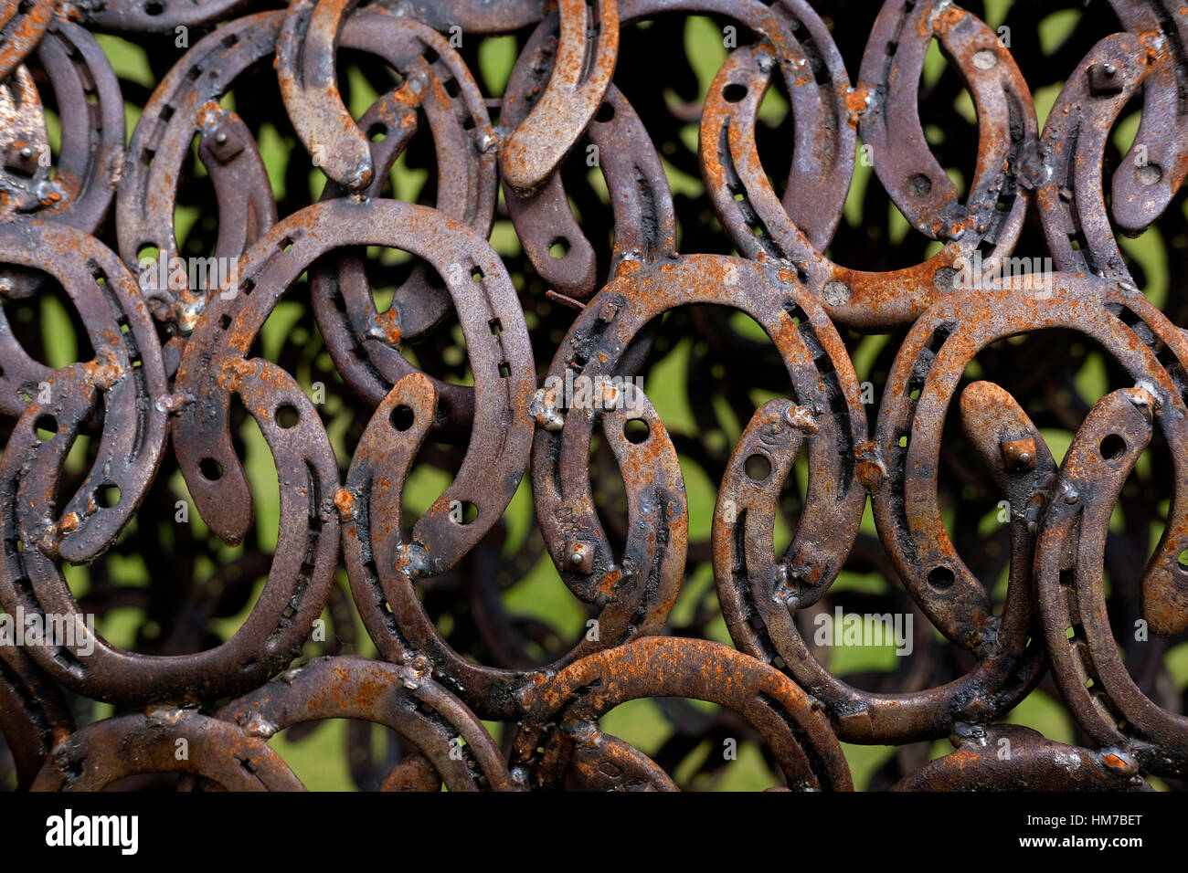 Horseshoe installation hires stock photography and images Alamy