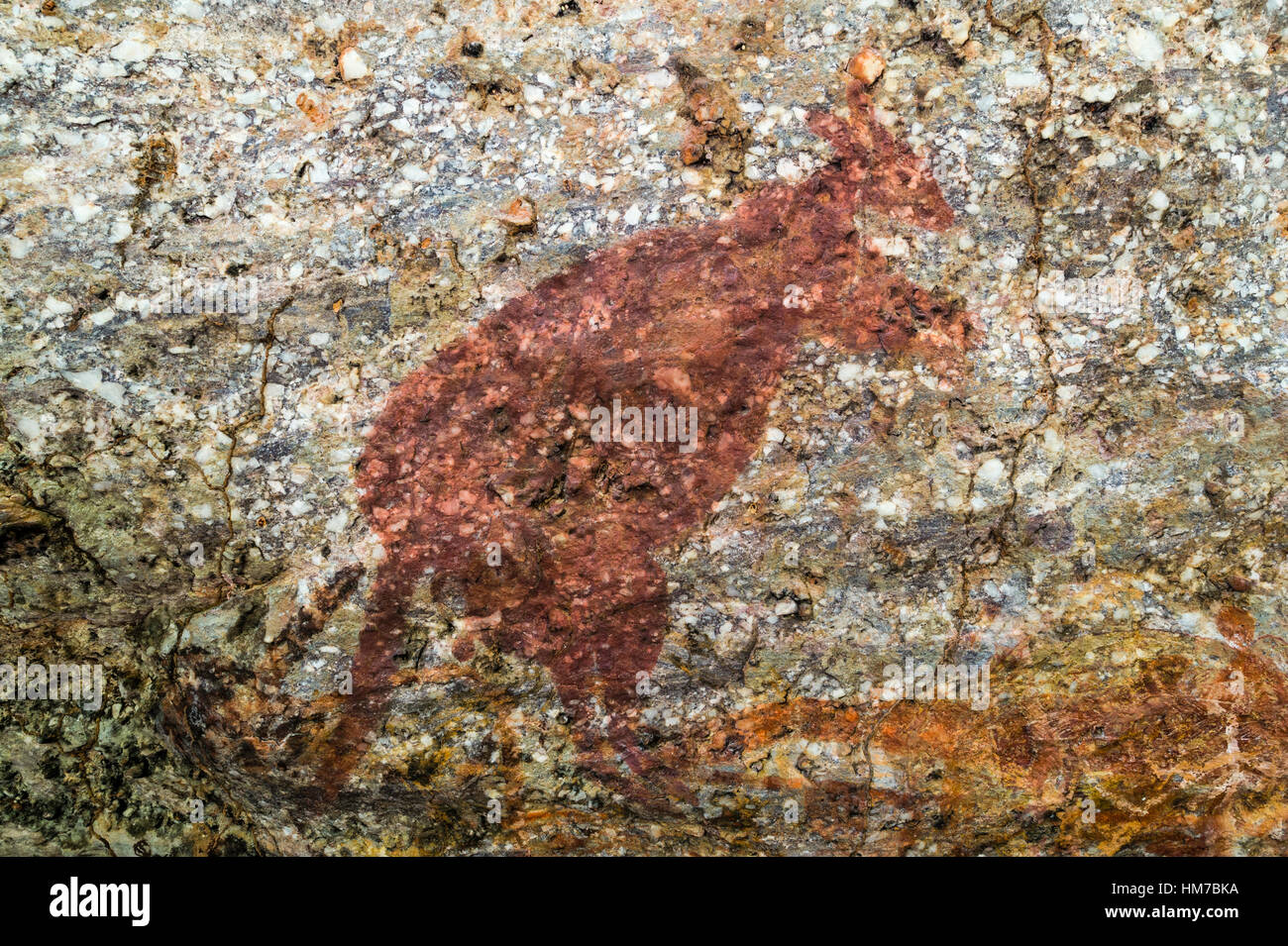 An Aboriginal rock painting art incline gallery featuring a kangaroo. Stock Photo