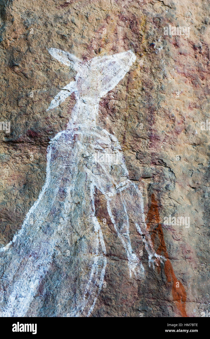 An Aboriginal rock painting art gallery featuring a kangaroo. Stock Photo