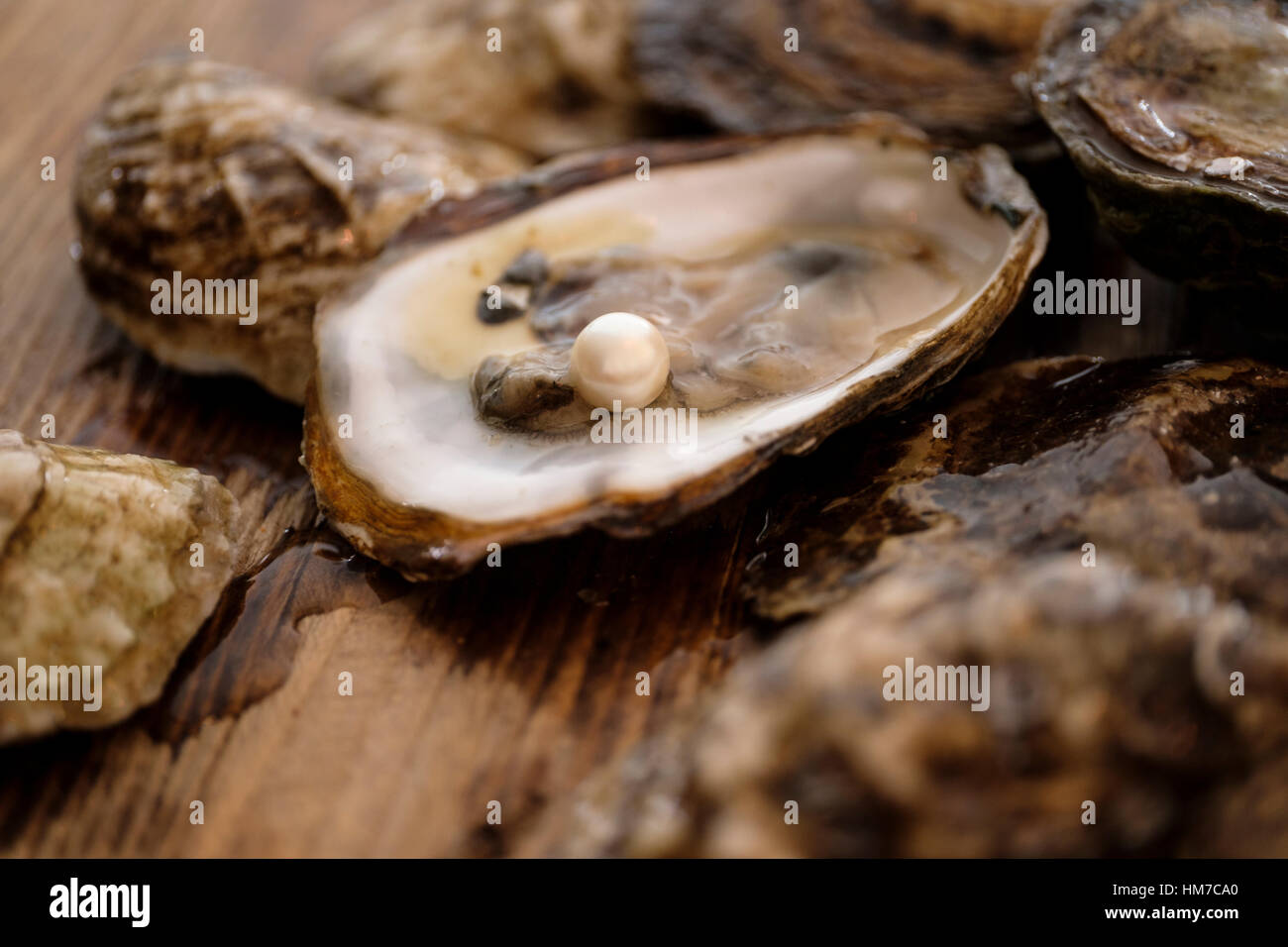 Pearl inside oyster shell Stock Photo Alamy