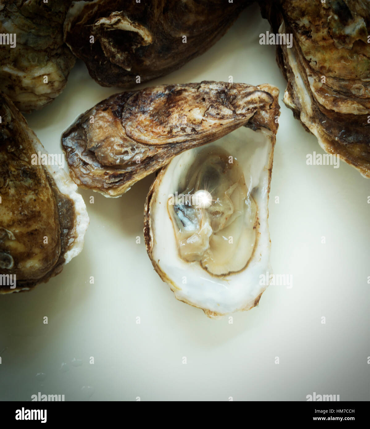 Pearl inside oyster shell Stock Photo