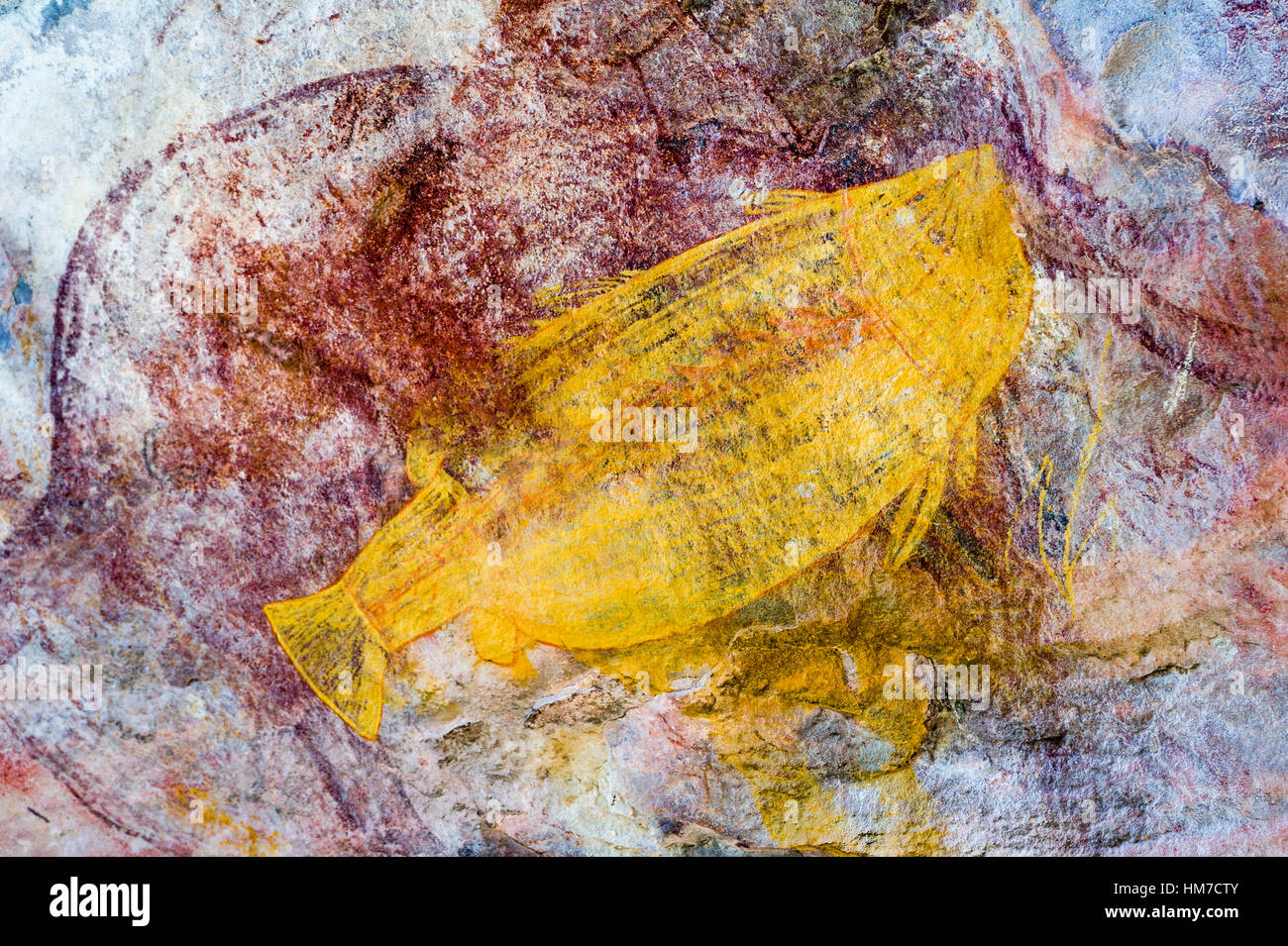 An Aboriginal x-ray rock painting art gallery featuring a Saratoga fish. Stock Photo