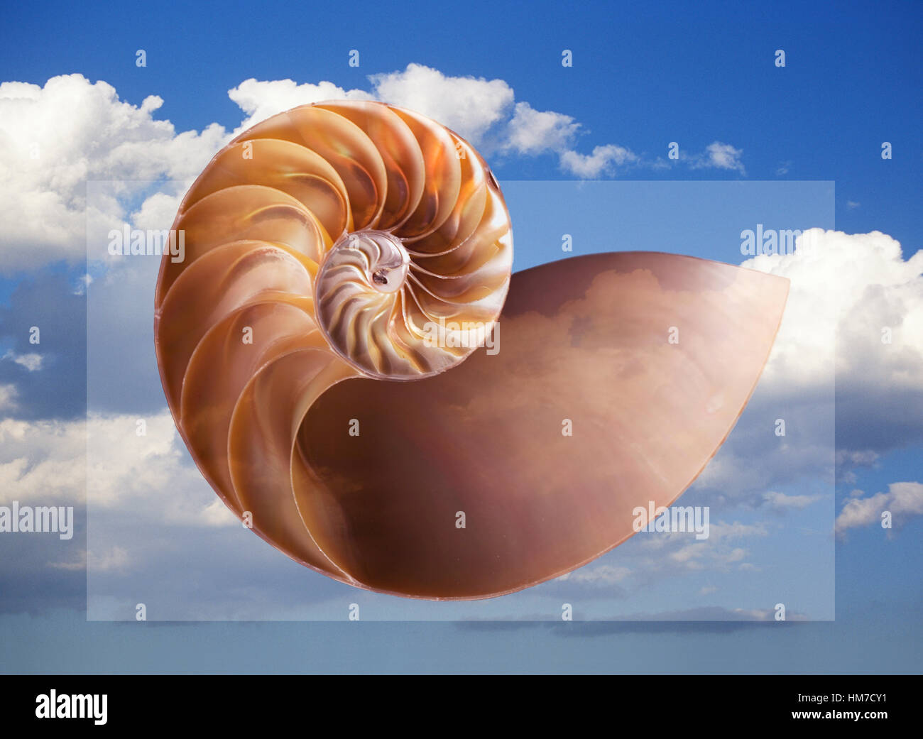 Digitally generated image of shell with sky in background Stock Photo