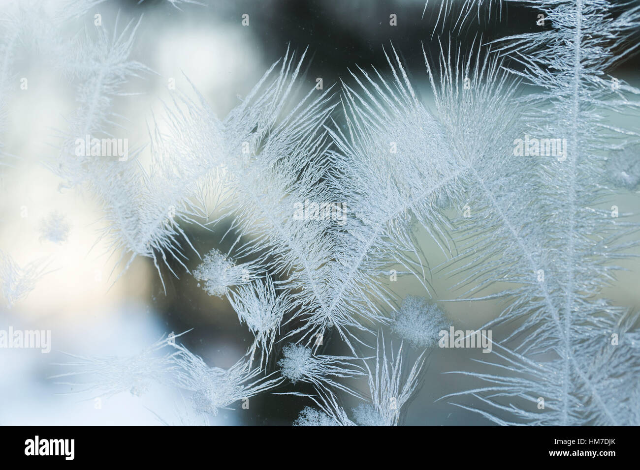 abstract,beautiful,beauty,bokeh,bright,christmas,cold,cool,details,fancy,Fantasie,fantasy,frost,frosty,Hell,icy,imagination,light,macro,nature,ornament,SchÃ¶nheit,seasonal,textured,weather,white,winter Stock Photo