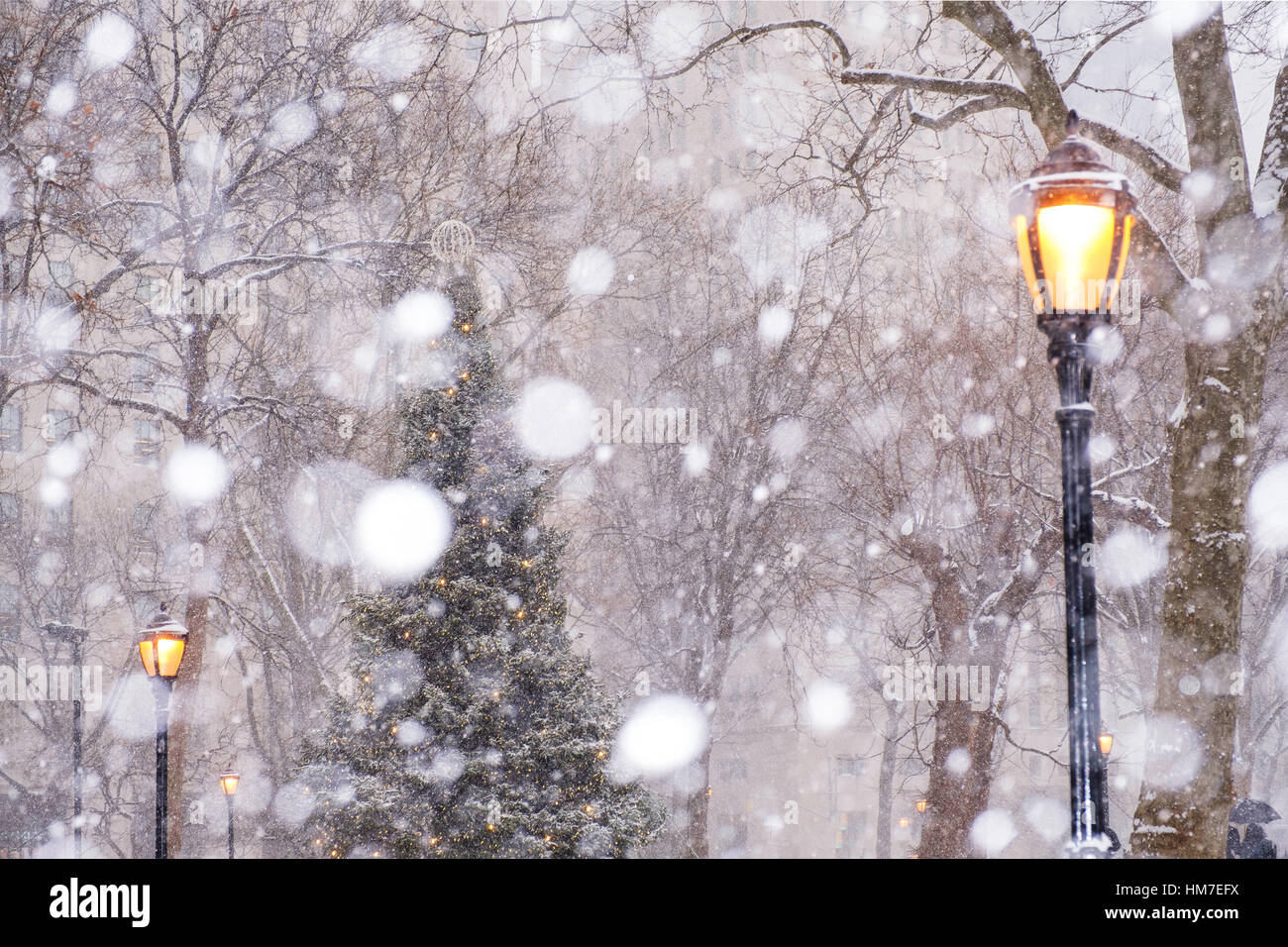 USA, New York State, New York City, Madison Square Park in snow Stock Photo