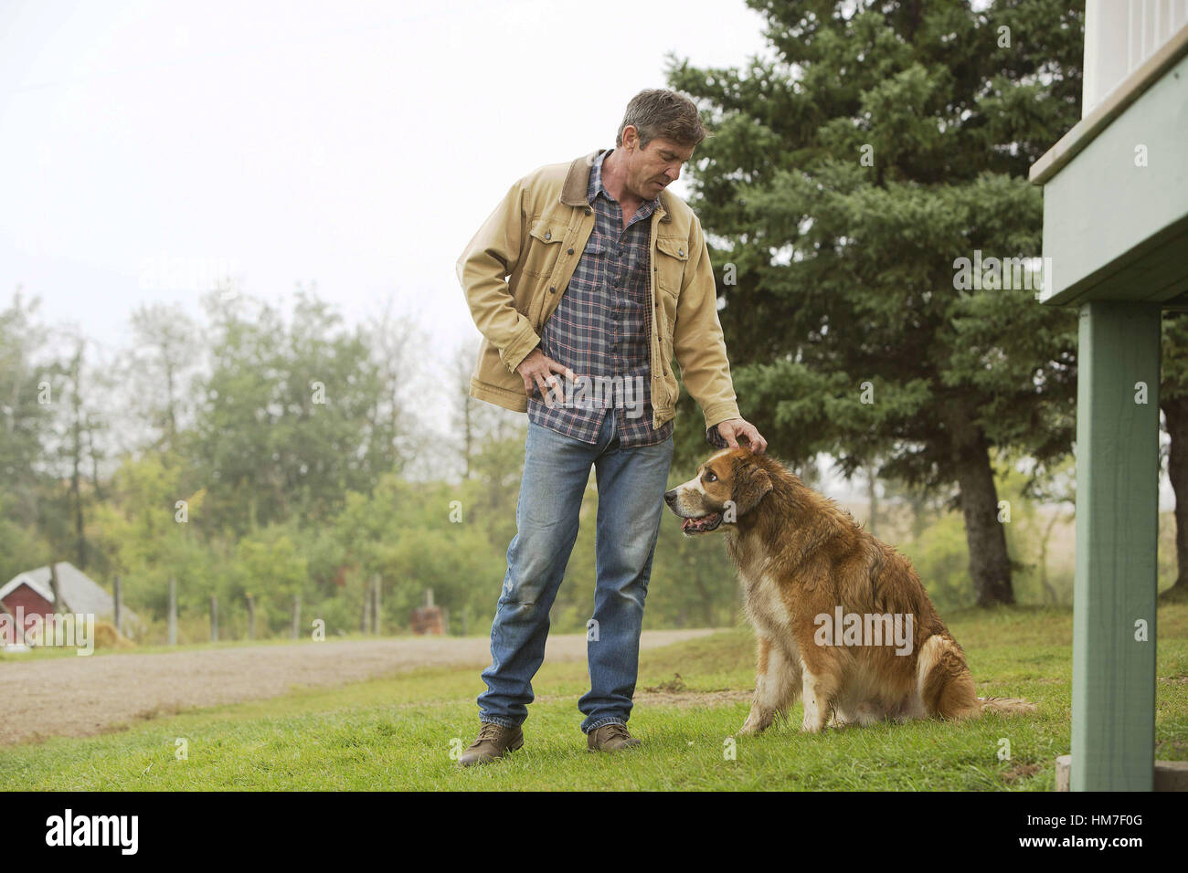 A DOG'S PURPOSE, Dennis Quaid, with Buddy (voice Josh Gad), 2017. ph