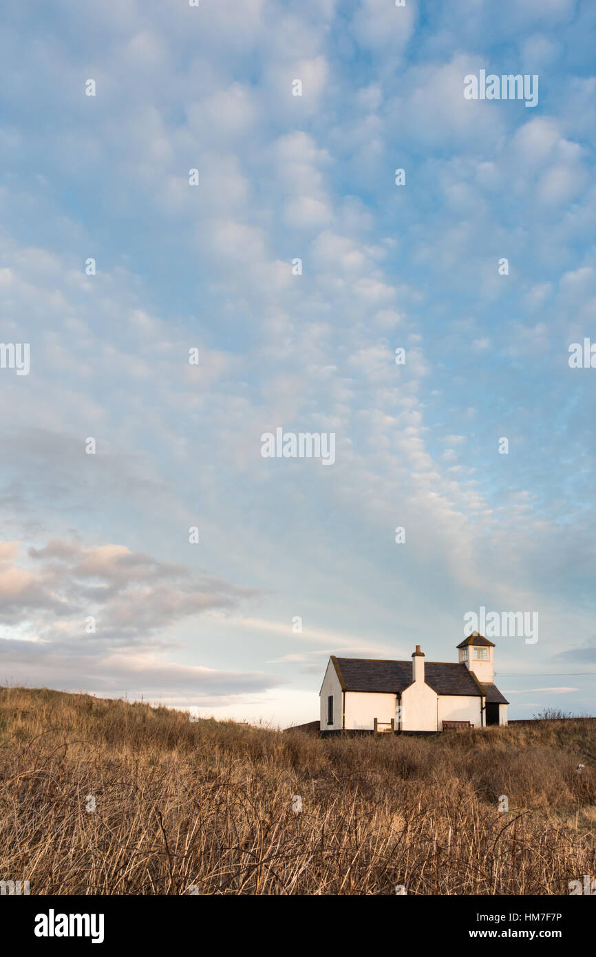 The Watch House, little white house with a slate roof above a tangle of grasses and thorn bushes, Seaton Sluice, Northumberland Stock Photo