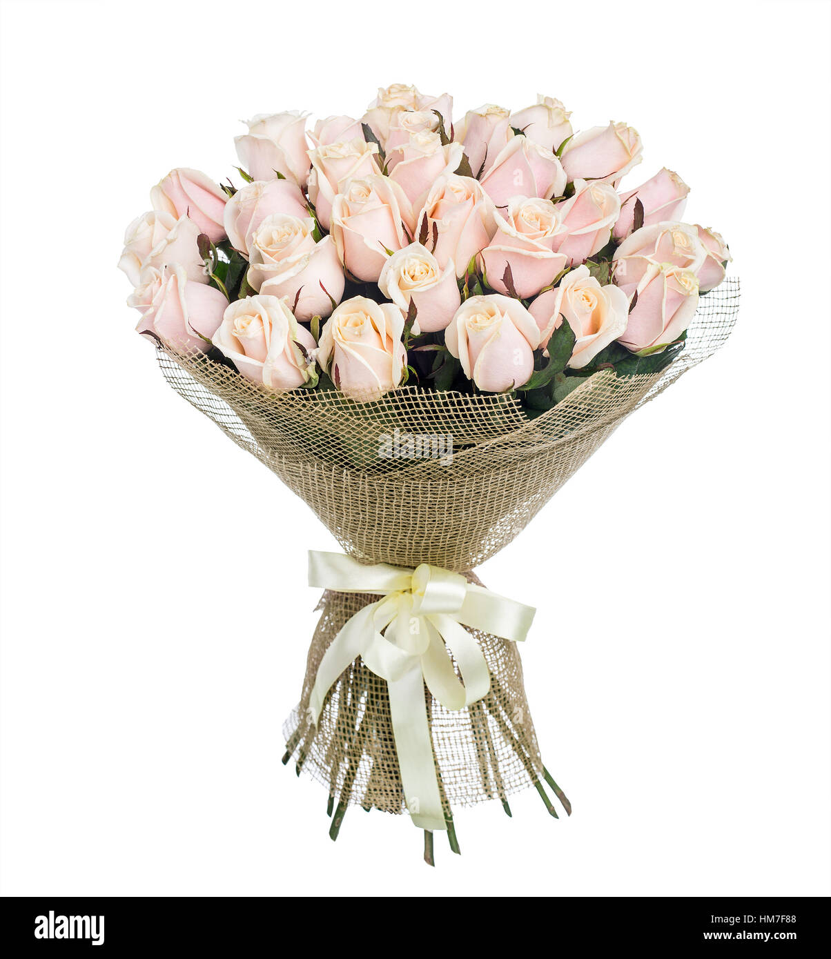 Flower bouquet of pink roses Stock Photo