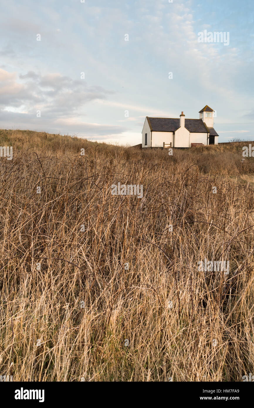 The Watch House, little white house with a slate roof above a tangle of grasses and thorn bushes, Seaton Sluice, Northumberland Stock Photo