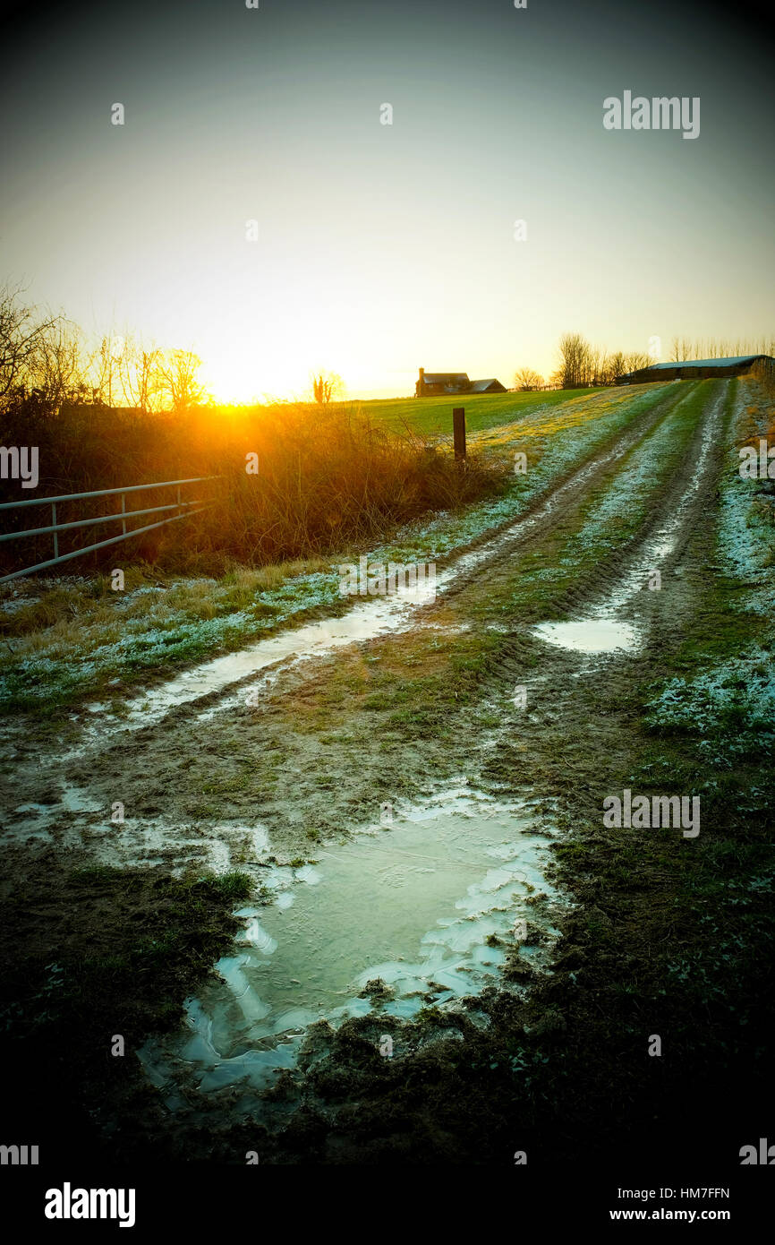 sunrise over farm, farmers field and grass track with iced puddles in the foreground. Stock Photo
