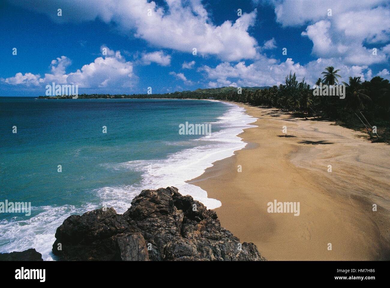 Black Rock Beach, Republic of Trinidad and Tobago Stock Photo Alamy
