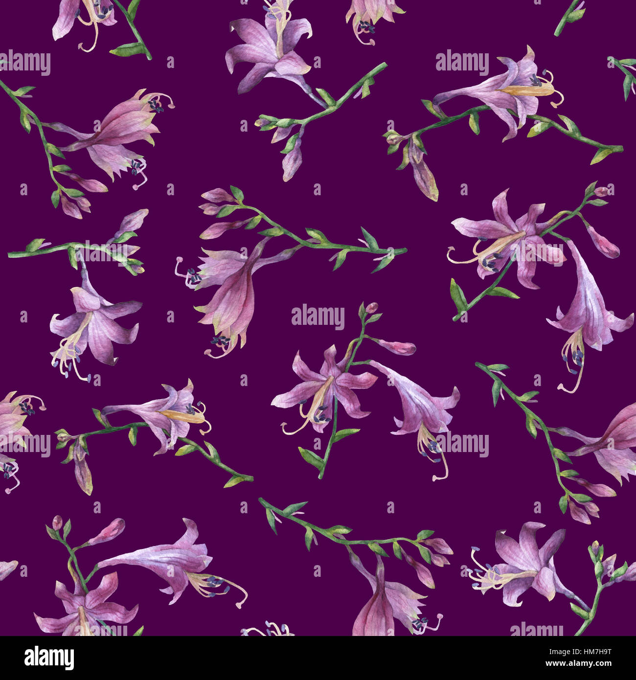 Seamless pattern with branch of purple hosta flower. Lilies. Hosta ventricosa minor. Hand drawn watercolor painting on purple background. Stock Photo