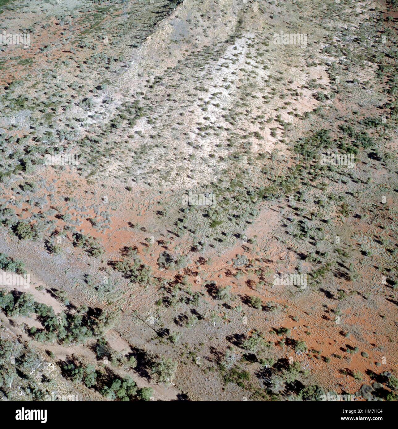 Vegetation in a barren landscape, aerial view, Gulf of Carpentaria, Australia. Stock Photo