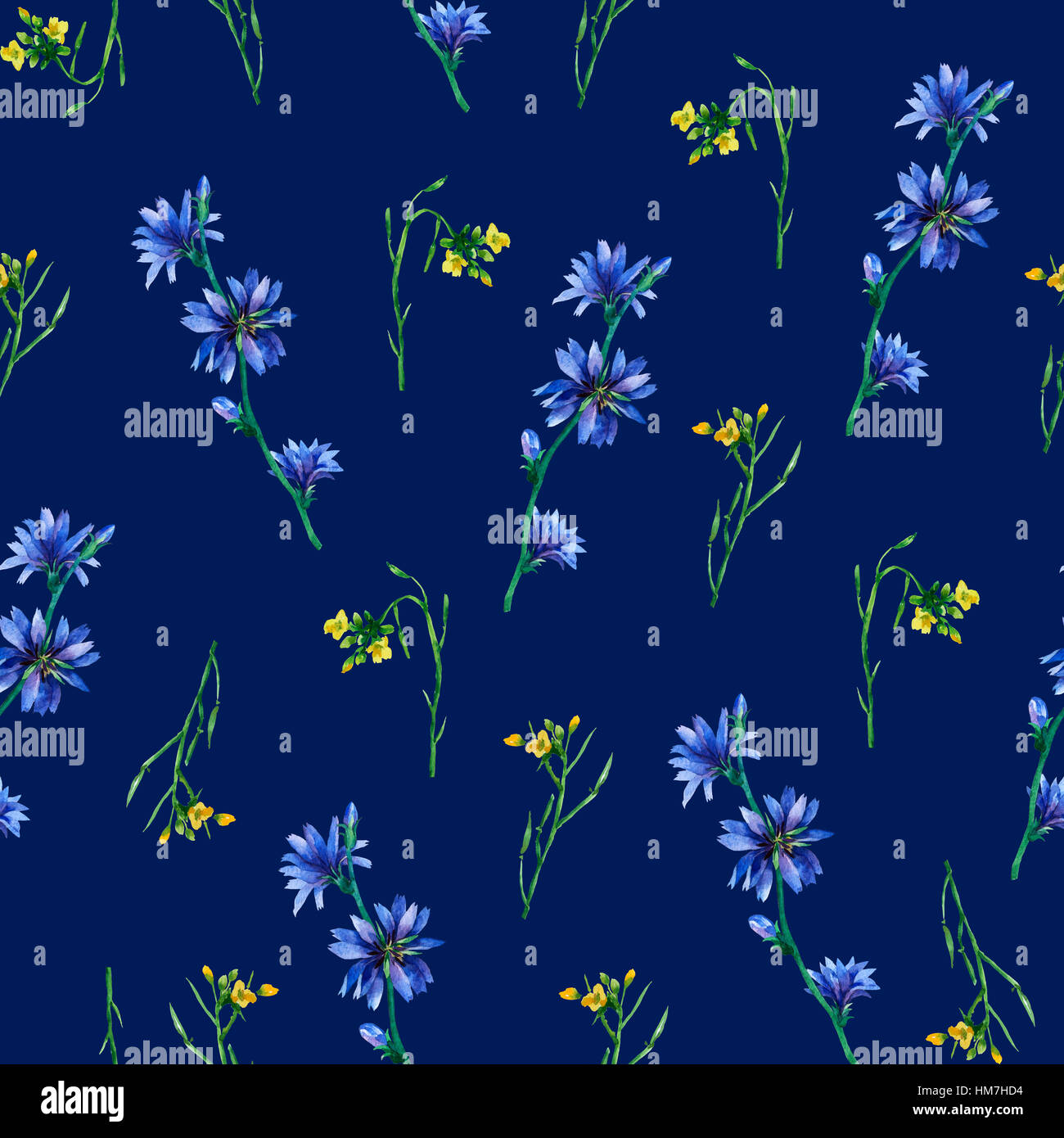 Seamless pattern with yellow rocket and blue chicory flowers. Hand drawn watercolor painting on dark blue background. Stock Photo