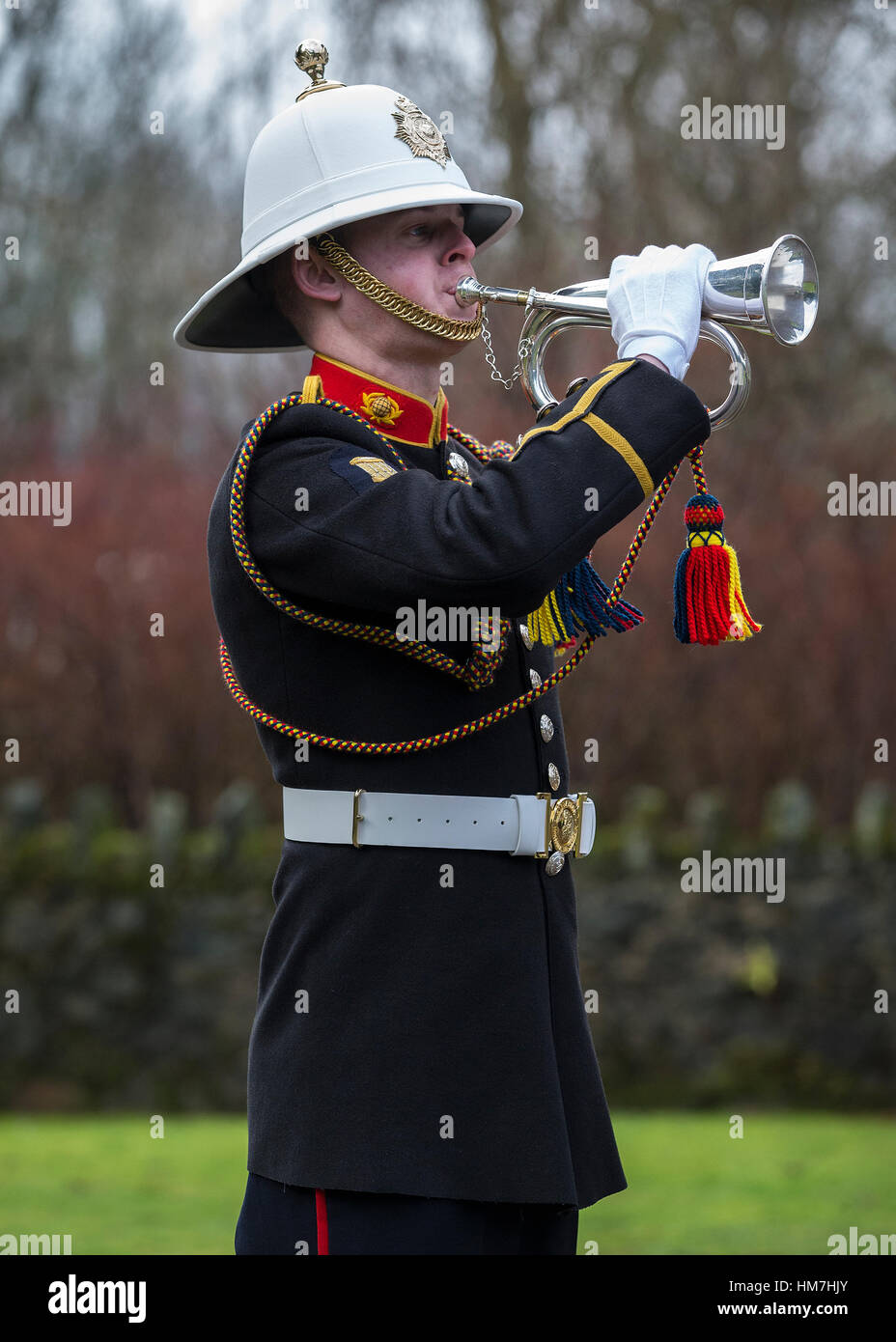 Bugler Stock Photos & Bugler Stock Images Alamy