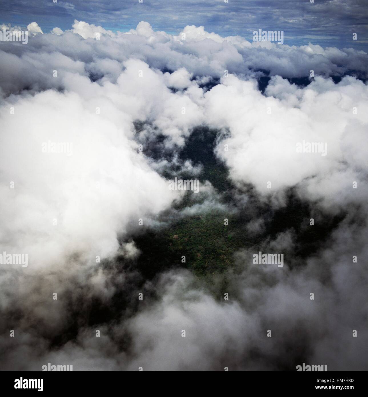Forest south of Puerto Ayacucho hidden by clouds, aerial view, Amazonas State, Venezuela. Stock Photo