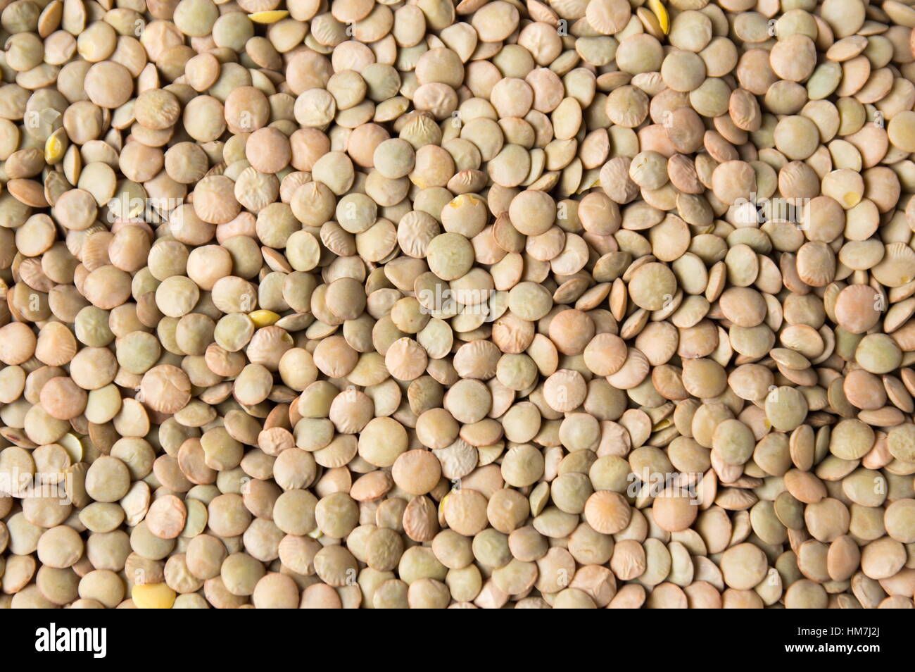Bunch of raw lentil forming a background pattern Stock Photo