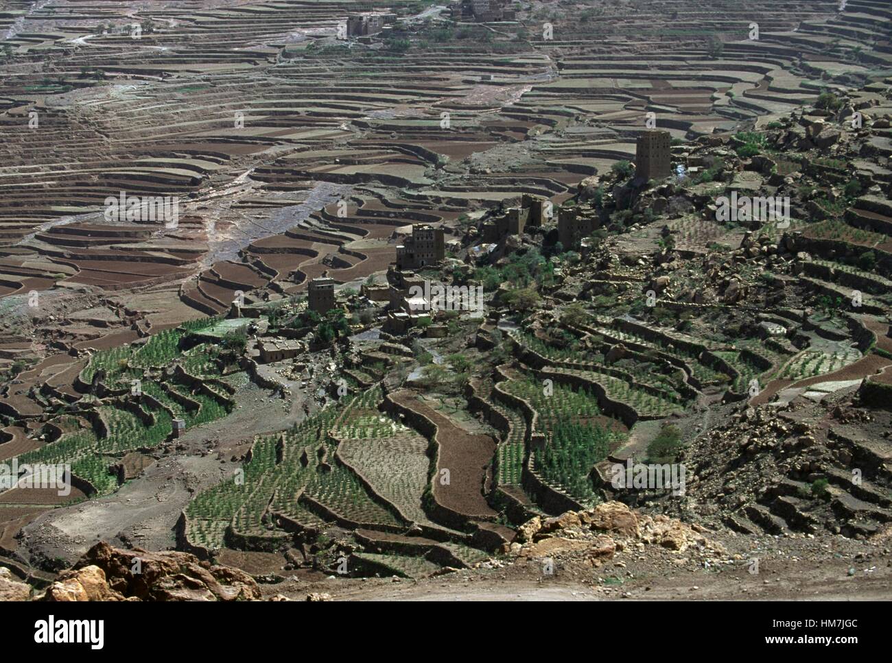 Terraces planted with cereals in Al Halma, Yemen. Stock Photo