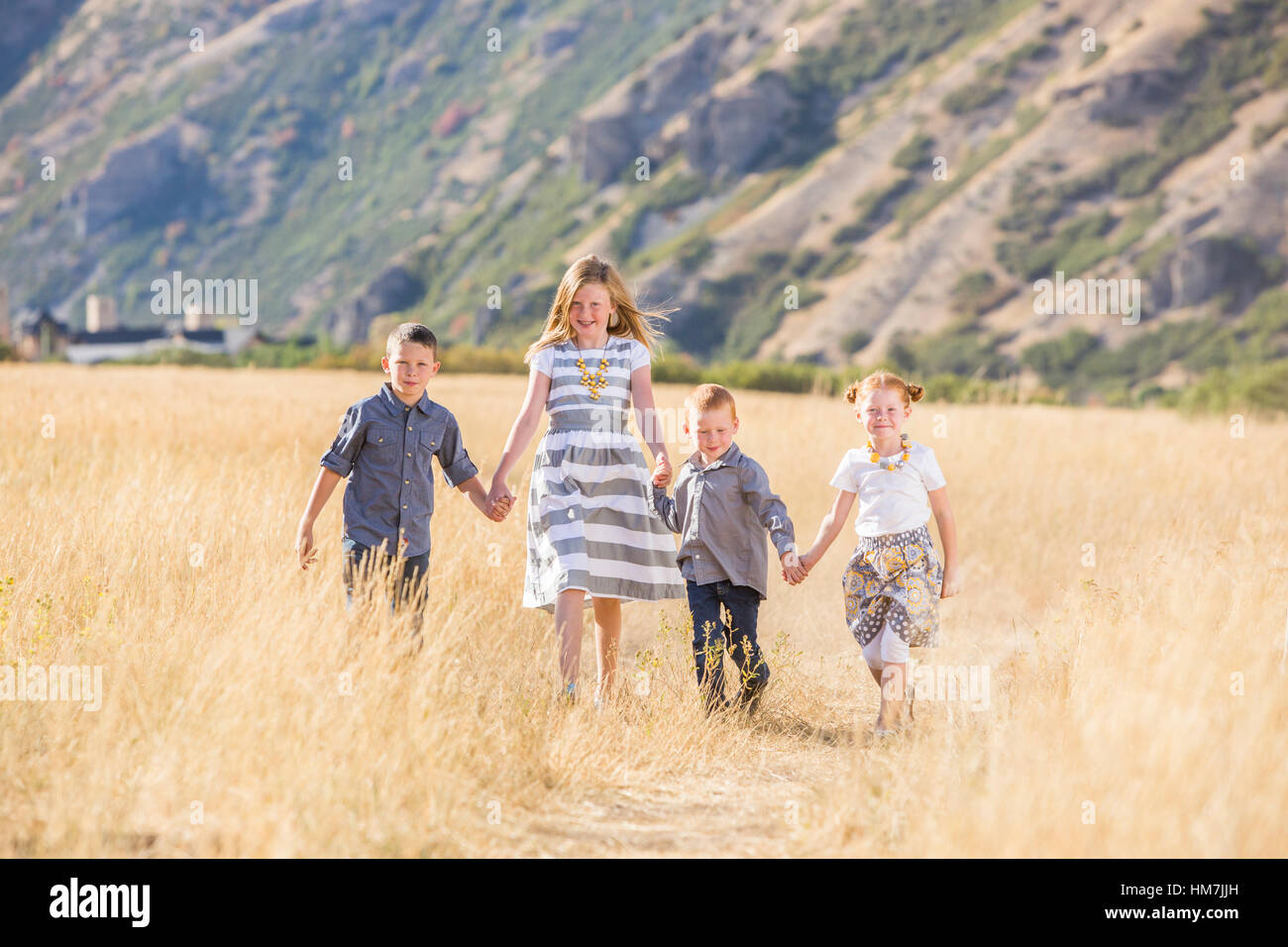 USA, Utah, Provo, Boys and girls (4-5, 6-7, 8-9) walking in field, holding hands Stock Photo