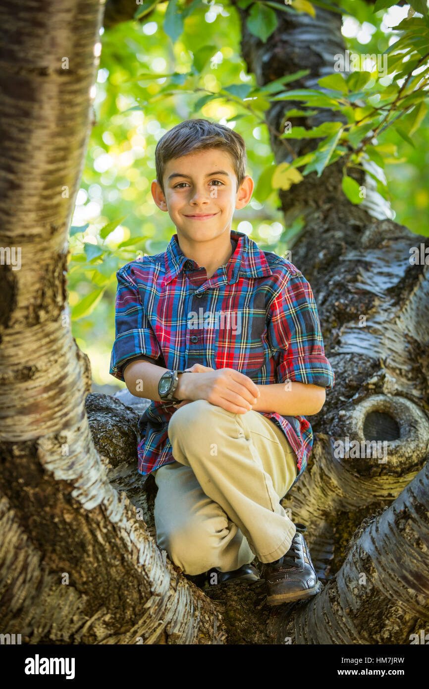 Smiling boy sitting on tree Stock Photo