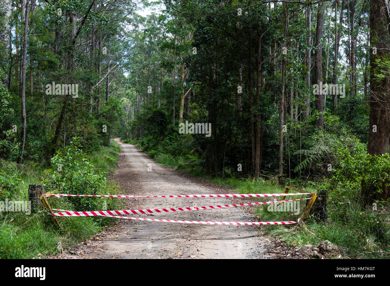 Emergency services tape across a forest track during bushfires. Stock Photo