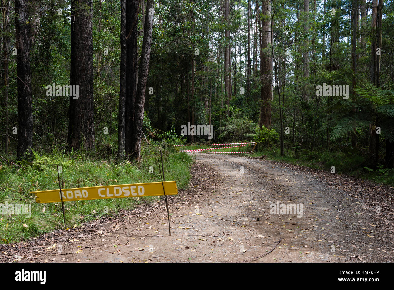 Emergency services road closed sign on a forest track during bushfires. Stock Photo