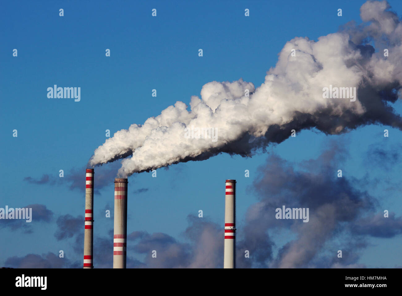 smoke from chimneys of coal power plant Stock Photo Alamy