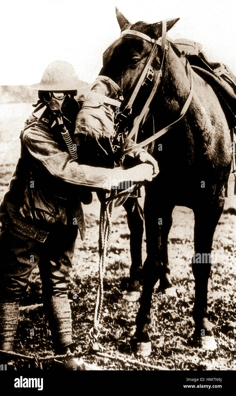 Gas masks for man and horse demonstrated by American soldier, ca.  1917-18.  (Bureau of Medicine and Surgery) Stock Photo