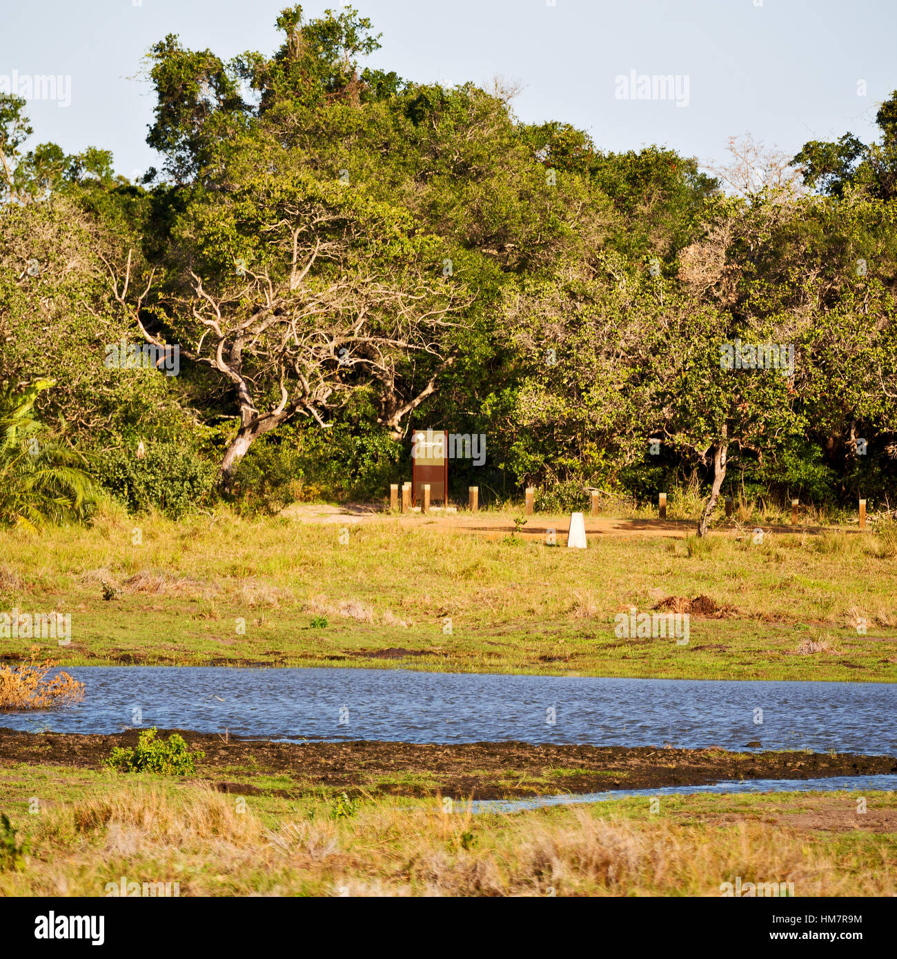 blur in south africa pond lake isimagaliso nature reserve and bush
