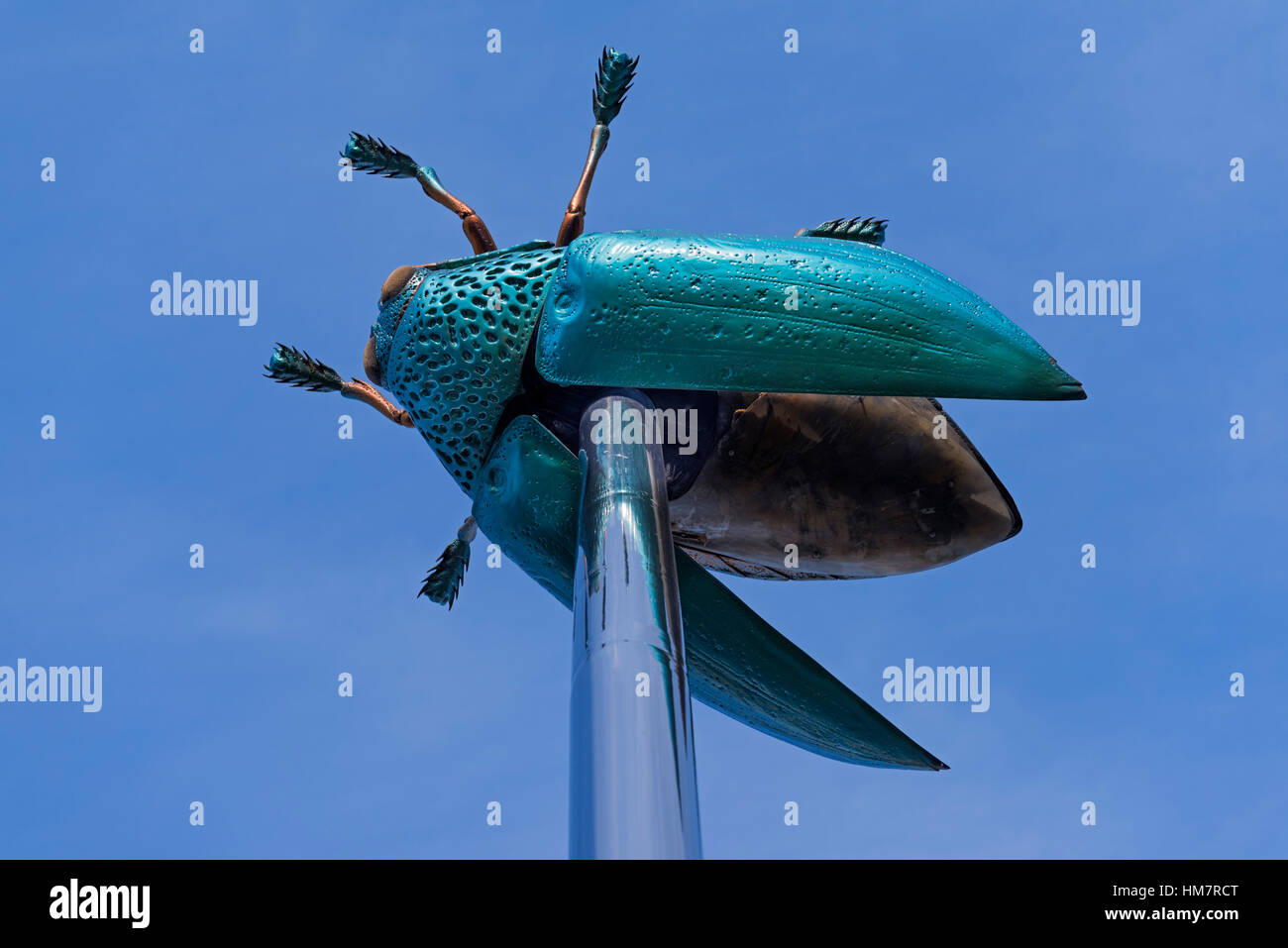 Totem beetle statue Ladeuzeplein Leuven Belgium Stock Photo - Alamy Totem beetle statue Ladeuzeplein Leuven Belgium Stock Photo - Alamy