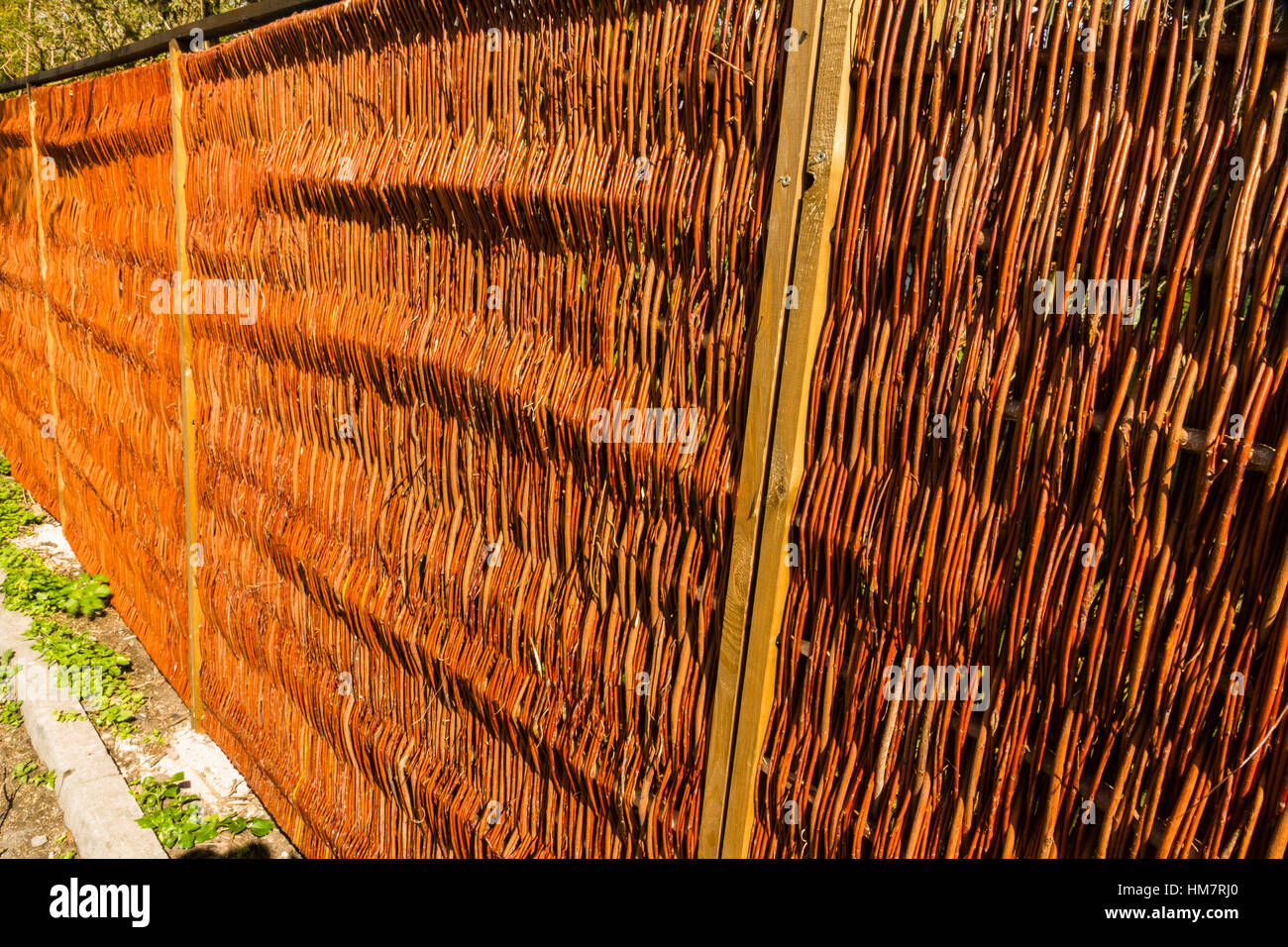 New wicker fence no nails. Stock Photo