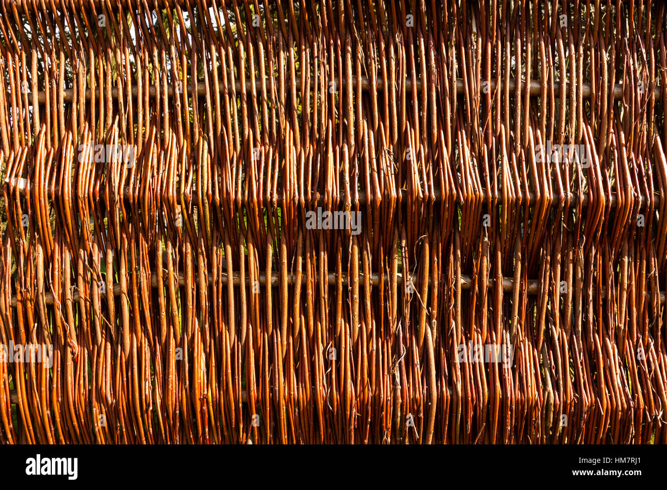 Detail of a new wicker fence no nails Stock Photo